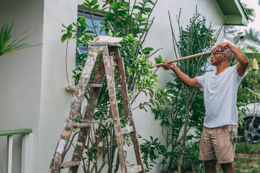 Painter using an extension-pole roller on a light exterior wall beside a ladder and garden plants during a house painting project in DeLand, FL.